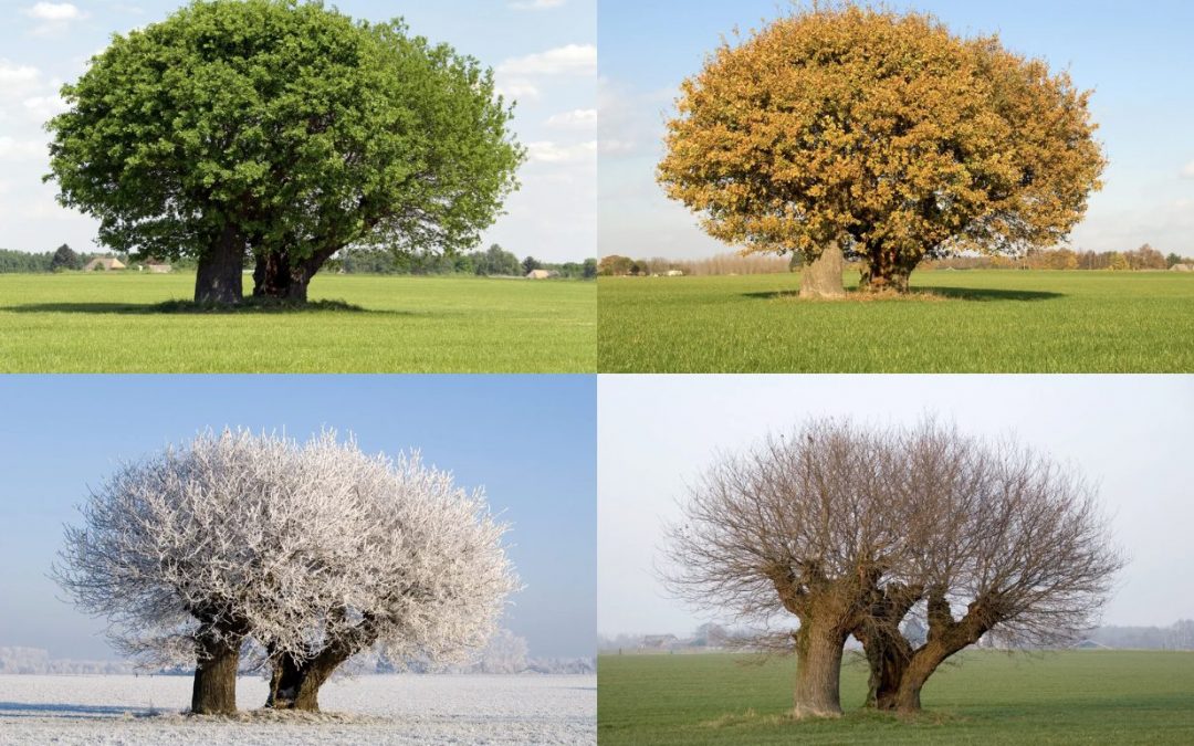 Quelle est la meilleure période pour vendre un bien ?